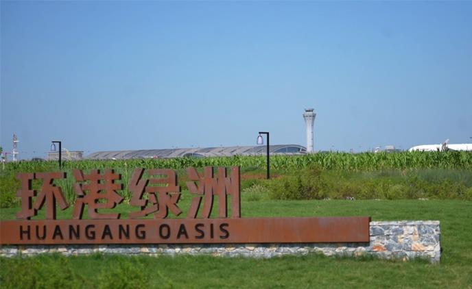 环港绿洲公园.jpg